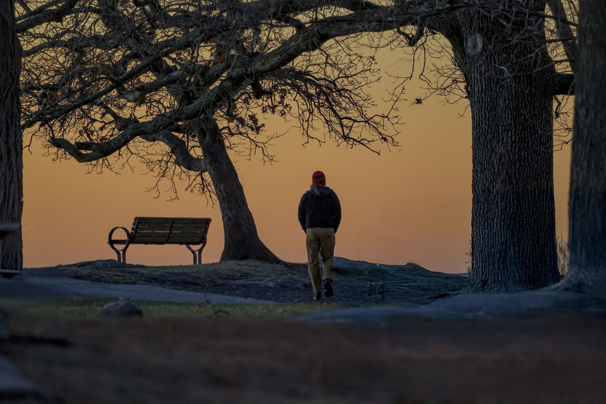 A lone walker passing a bench under trees at sunrise in a park by the water